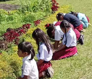 a group of children praying on the grass