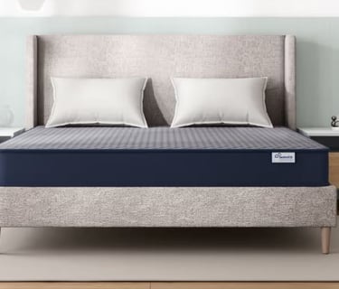 WAKEFIT IN FARIDABAD