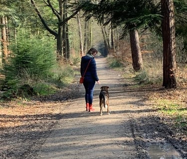 a person walking down a dirt road with a dog