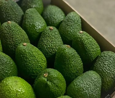 Caja de aguacates