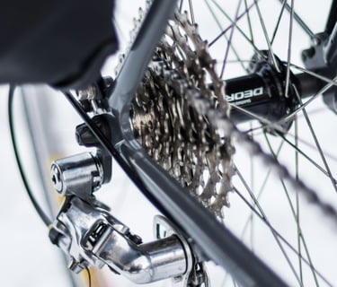 bicycle rear wheel with gearing