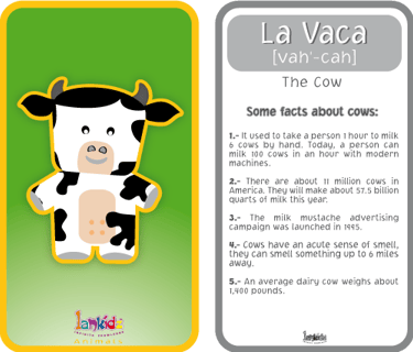flashcards 2