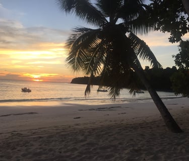 alt=Intendance de propriété Nosy Be 