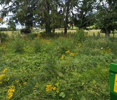 entretien jardin broyage maison secondaire paysagiste à cluny 71