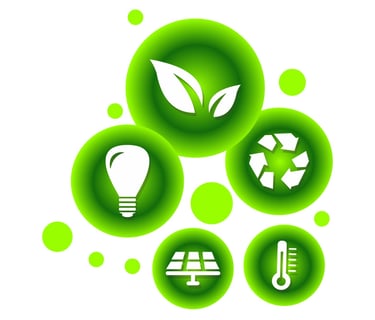 Sustainable sourcing practices by Cavity Studios ensuring eco-friendly and ethical production CSDDD