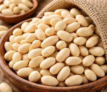 Blanched peanuts supplier India – sortex cleaned kernels for confectionery and bakery export