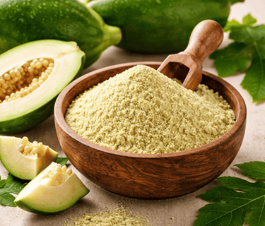 Green papaya powder manufacturer India – fine mesh tropical fruit powder for bulk export