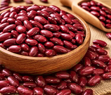 Kidney beans rajma supplier India – premium red beans for wholesale export