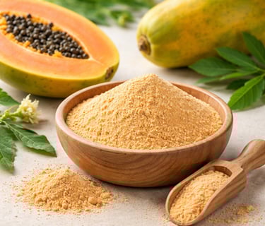 Papaya fruit powder bulk supplier India – smooth blending powder for nutrition mixes