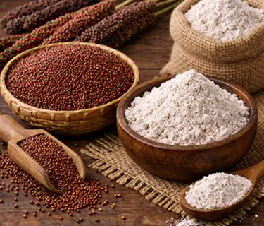 Ragi millet and flour supplier India – calcium rich grain for export market