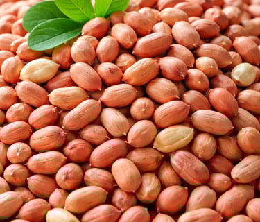 Raw peanut kernels exporter India – bold and java peanuts for bulk food industry supply