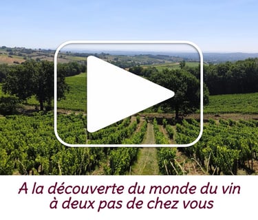Video Qui sommes Nous