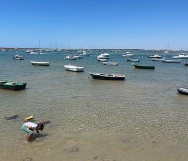 Vista de la bahía de Sancti Petri lleno de barcas, Chiclana, Cádiz