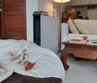 Blueair Pro y mascota: ayuda con la alergía y el asma