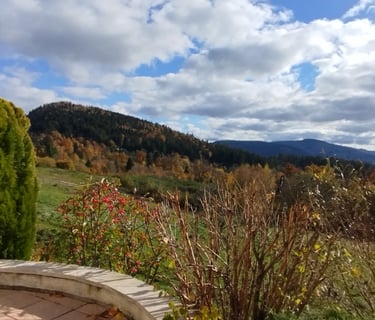 Vue sur le Saint Mont