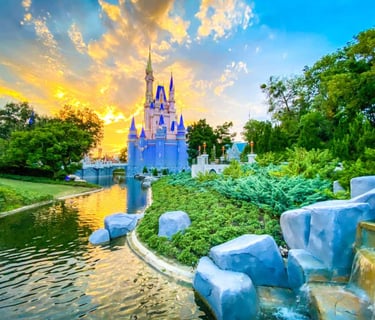 Disney Magic Kingdom Dispensary Near Me Flower Neighbor