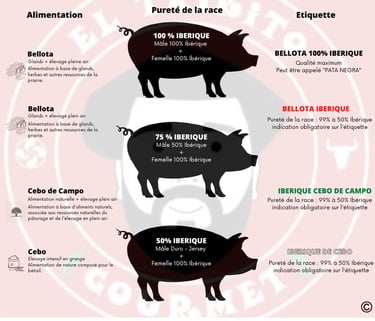 description des races ibériques