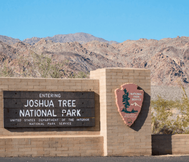 oshua Tree National Park, a unique pick for best US National Parks for Summer 2025