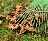 Leaves removal and raking company 