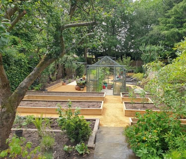 A garden design in Cheshire by garden designer Jon Pilling showing raised planters and a greenhouse