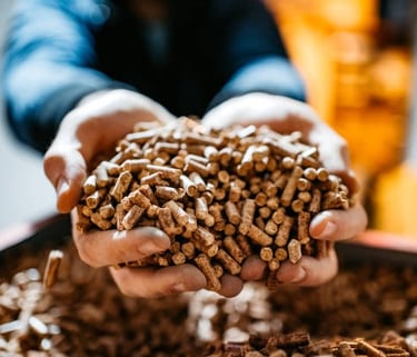 Biomass pellets