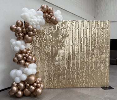 Blisgu, sampanine foto siena, foto sienele vilniuje, blisgu foto sienele, balionu arka