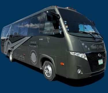 Autobus para 31  pasajeros - Renta de autobuses en Morelia