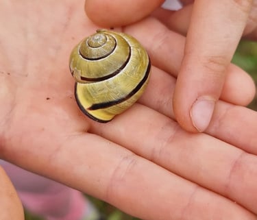 Mus supančios gyvūnijos atradimas