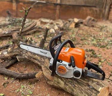 Corte de árvores em Rio Preto