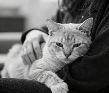 A comforting scene of a pet owner holding their dog lovin