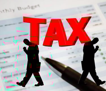 Consultant assisting enterpreneurs with GST online registration process and  paperwork.