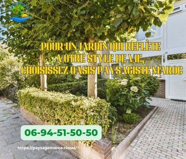 paysage maroc dessin