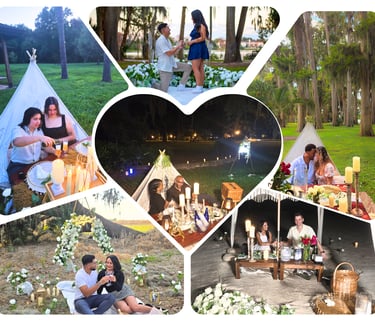 Surprise park picnic engagement in Orlando with custom decor and photographer