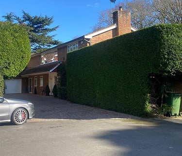 Front garden hedge trimming for kerb appeal, tidy sweep-down.