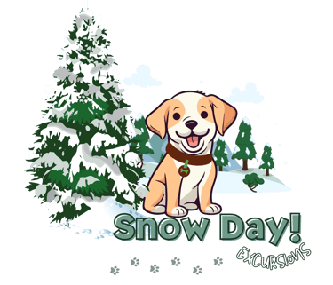 Julia's Pet Pals Boston MA Snow Day Excursion Package