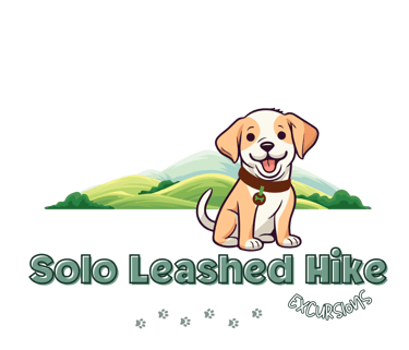 Julia's Pet Pals Boston MA Solo Leashed Hike Package