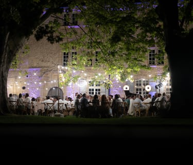 photo repas de soirée