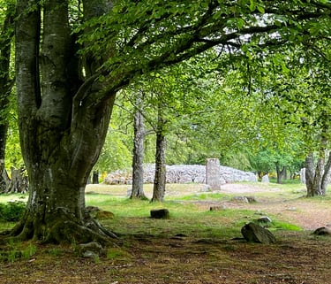 Clava cairns standing stones with trees in the foregorund