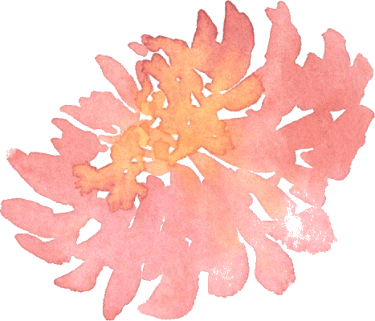 a pink orange flower