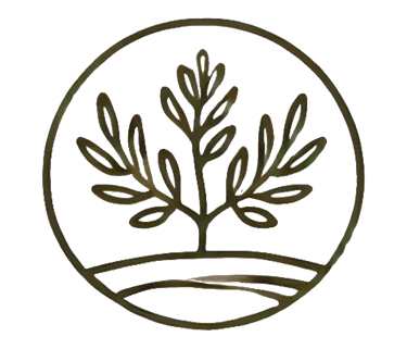 little olive logo of an olive tree 