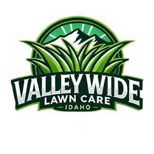 Valleywidelawncare.com