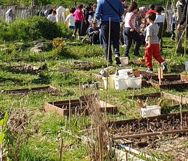 ecole du dehors, carrés potagerd