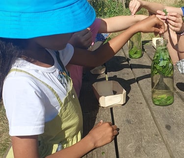 tisane après cueillette au jardin