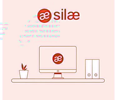 Interface Silae pour la gestion automatisée de la paie