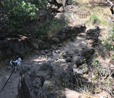 Well tended Yahi Trail in Upper Bidwell Park