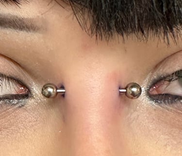 A close-up of a symmetrical bridge piercing with titanium barbells. The jewellery sits evenly across