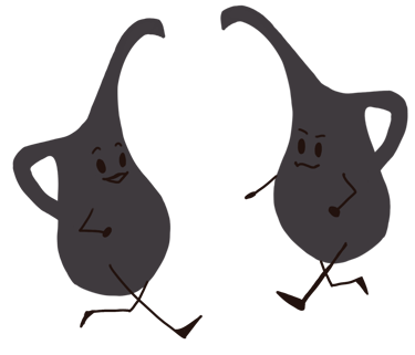 kaksi kannua