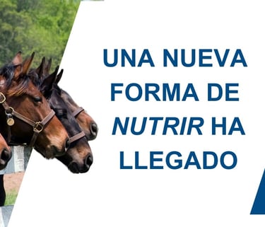 Caballos alimentándose junto a productos Cavalley de nutrición equina natural con el lema 'Una nueva