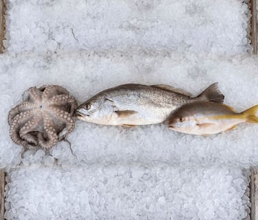 Fresh whole octopus and raw fish resting on a bed of crushed ice at a seafood market.