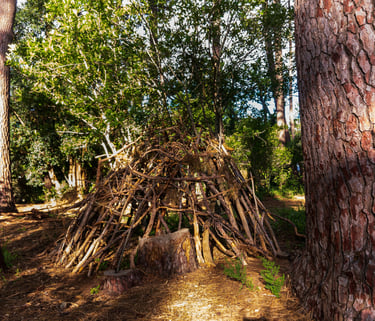 building shelter in the wild
